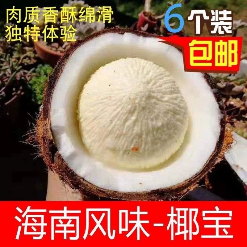 海南牛奶椰宝新鲜水果正宗发芽老椰子椰青肉椰子芯整箱椰皇