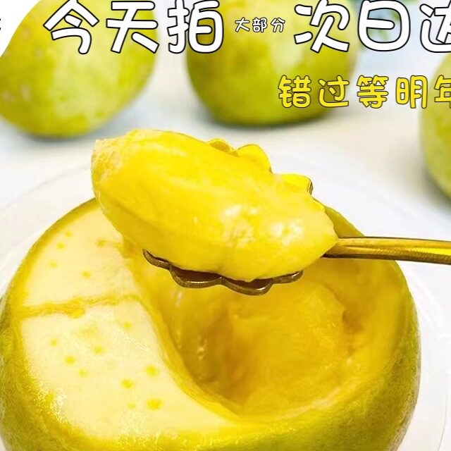 顺丰云南白柿冰淇淋果新鲜版纳奶香冰激凌果高端新奇水果雪糕果