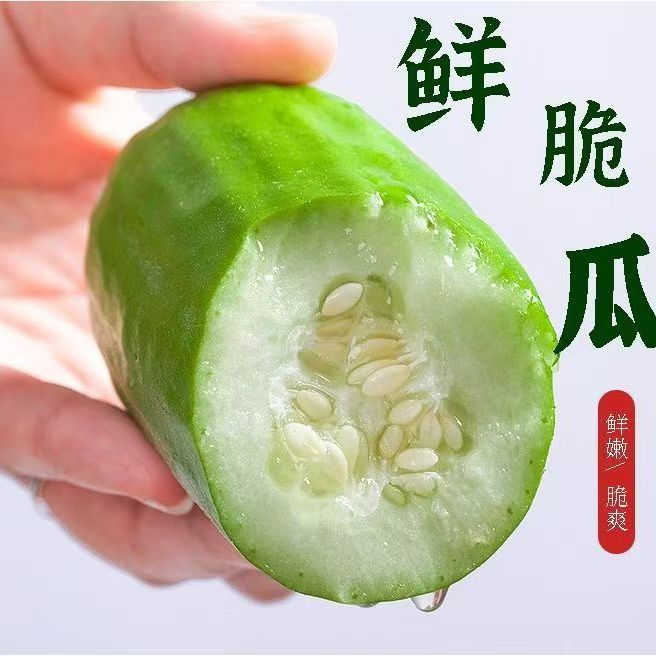 潍坊烧瓜捎瓜青龙瓜黄河脆瓜菜瓜八棱脆瓜老年人水果孕妇水果现摘