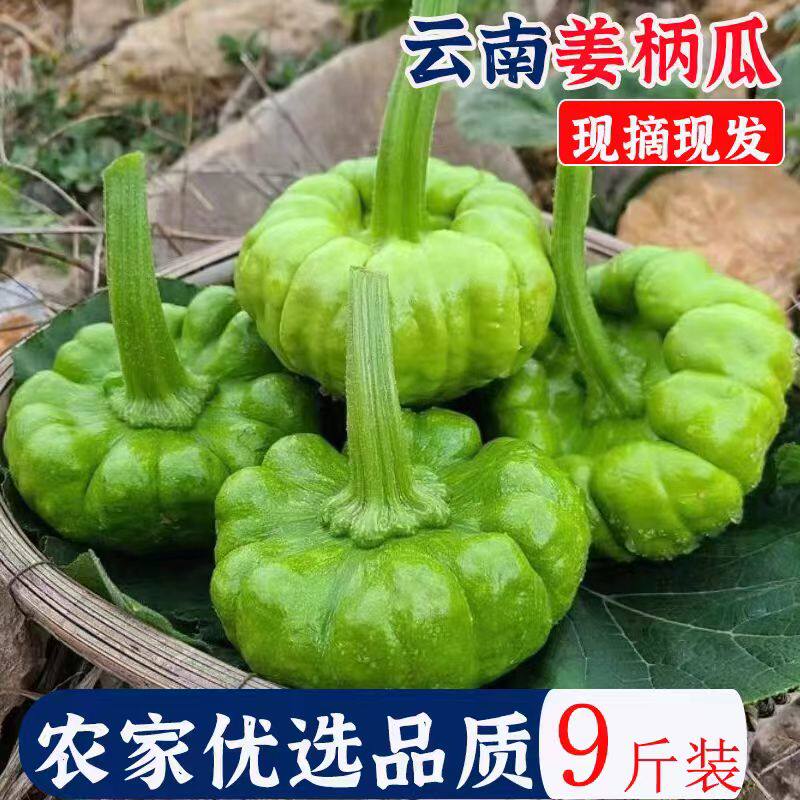 云南特色蔬菜新鲜姜柄瓜新鲜小麦瓜面南瓜小南瓜嫩姜饼瓜小瓜包邮