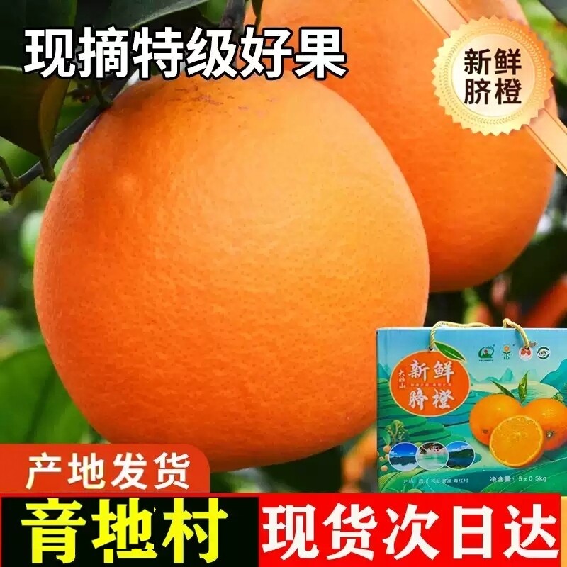 脐橙橙子新鲜9斤大果当季水果整箱夏橙甜脐橙手剥产自大凉山雷波