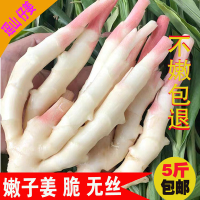仔姜新鲜嫩姜5斤包邮生姜湖南江永香姜食用子姜醋泡炒菜现挖现发
