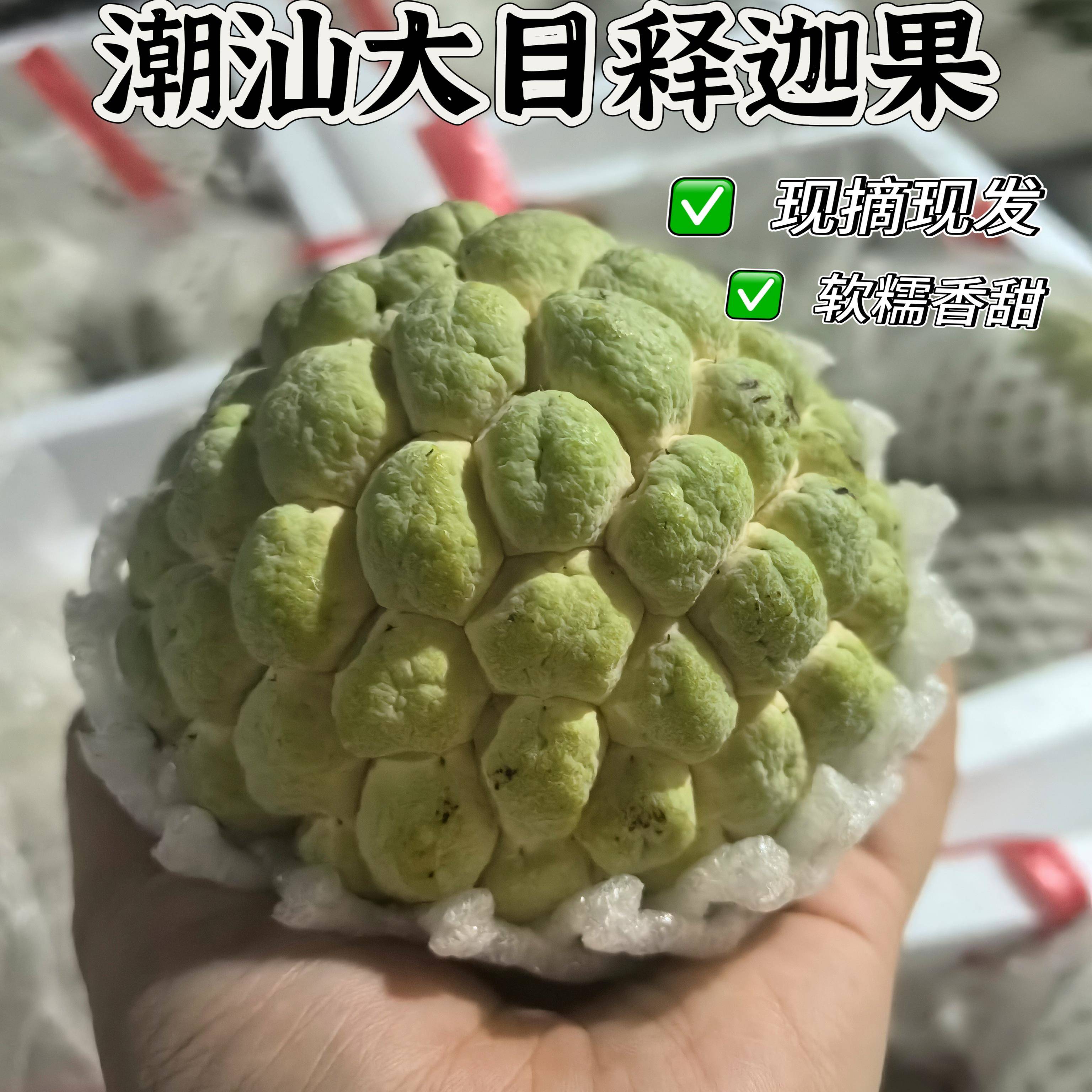 正宗樟林林檎牛奶释迦果潮汕林檎大果番果荔枝佛头现摘水果包邮