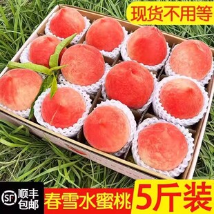 顺丰春雪水蜜桃5斤新鲜大桃水果当季桃子毛桃冬桃脆甜软硬整箱