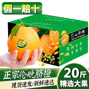 正宗伦晚脐橙湖北宜昌秭归橙子水果新鲜当季整箱斤果冻甜橙春橙