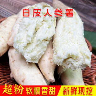 白皮牛奶人参薯新鲜现挖白皮白心番薯板栗薯白薯地瓜超粉人参红薯