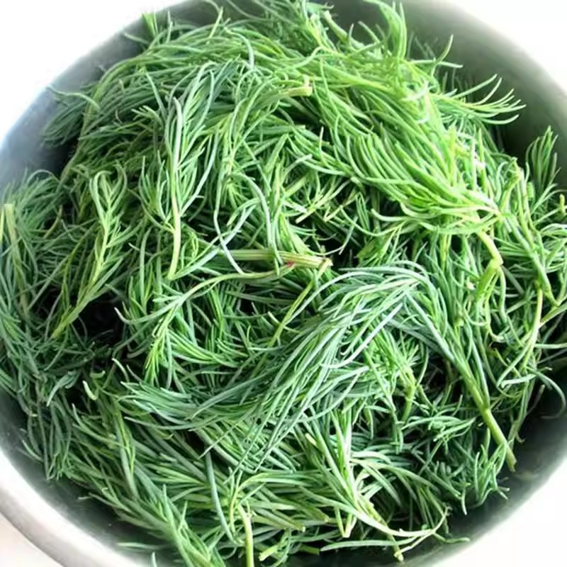 新鲜冷冻整颗黄须菜盐蓬菜咸蓬菜黄西菜盐碱地特产饺子混沌包子馅 - 实物图