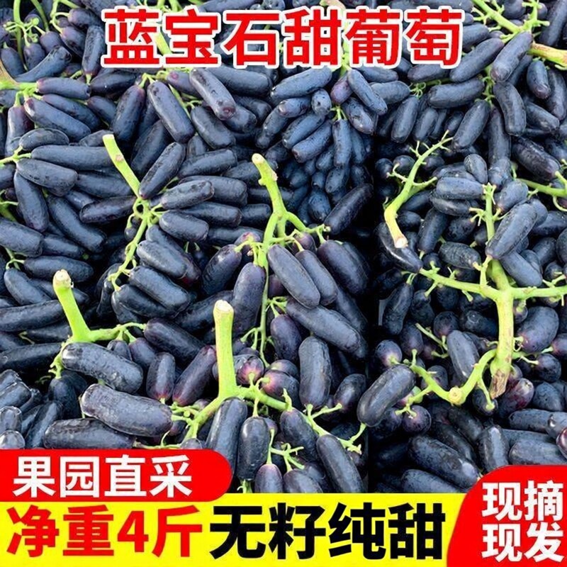 【顺丰4斤】蓝宝石葡萄新鲜水果现摘美人指金手指葡萄无籽黑提子