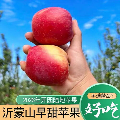 山东鲁丽苹果新鲜水果当季脆甜多汁红富士苹果2026年开园嘎啦新鲜