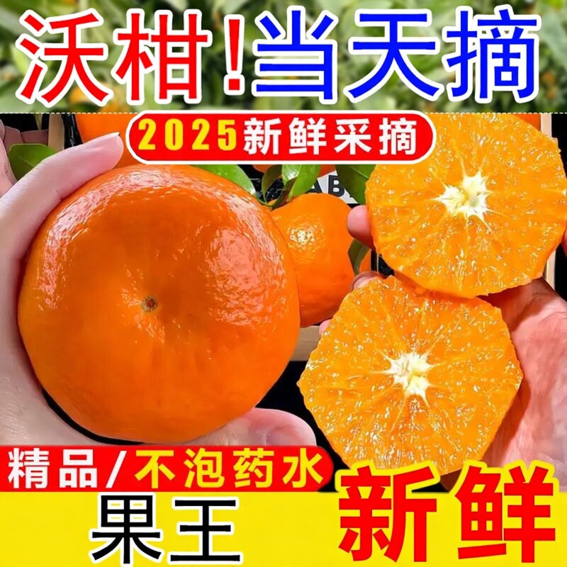 精品花皮沃柑9斤新鲜橘子水果武砂糖皇帝橘柑桔子鸣当季整箱沃柑5