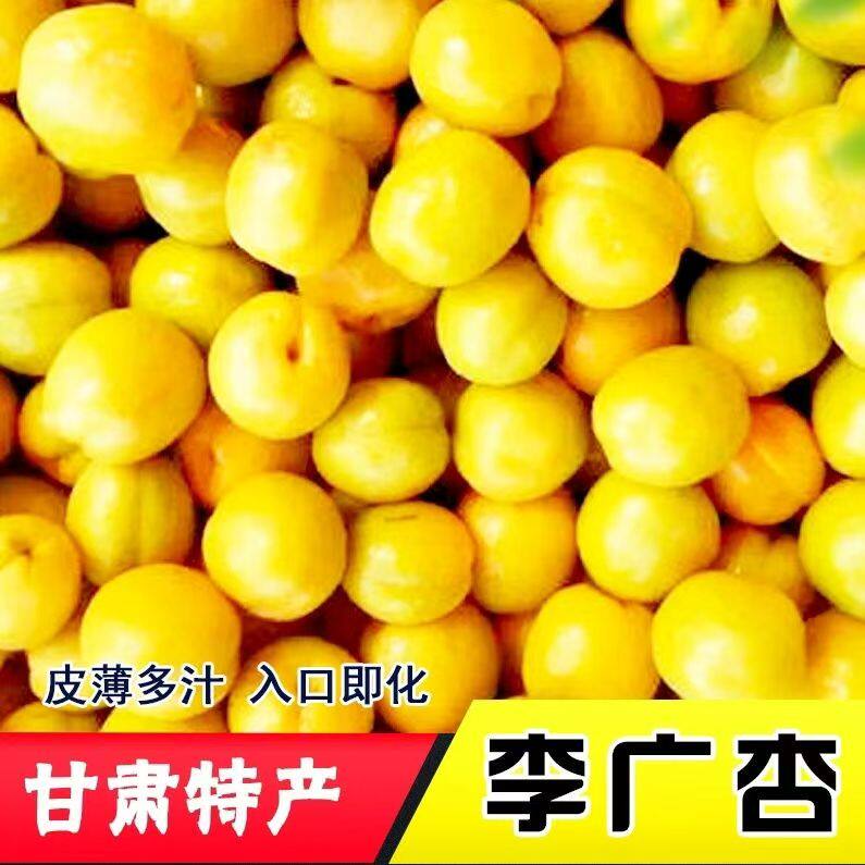 甘肃特产2026李广杏新鲜水果当季时令敦煌油杏整箱孕妇珍珠甜杏