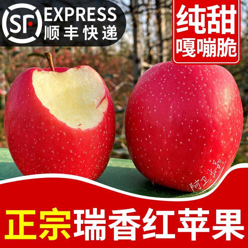 【顺丰】正宗瑞香红苹果纯甜脆爽香气高端苹果应季当季新鲜水果图片