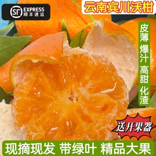 云南大理沃柑新鲜现摘宾川高原浓味砂糖精品高山柑橘子孕妇水果