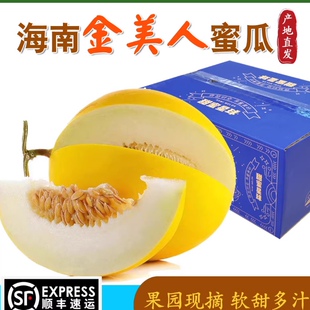 海南金美人蜜瓜当季新鲜冰淇淋甜瓜薄皮金妃密瓜5斤9斤顺丰包邮