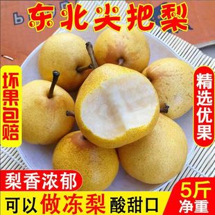 25年尖把梨东北特产秋子梨冻梨葫芦梨正宗尖把酸鞍山5斤包邮软梨