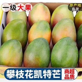 四川攀枝花凯特芒果新鲜10应季斤水果芒果整箱特大青忙果当季