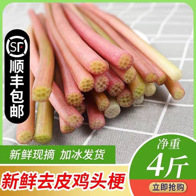 顺丰湖北特产鸡头梗应季蔬菜新鲜芡实茎去皮芡实梗时令水生菜藕带