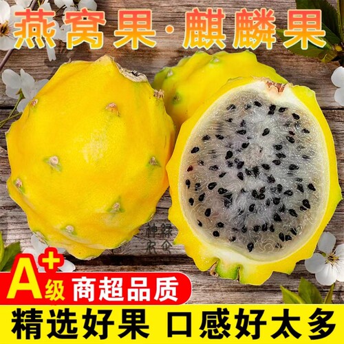 海南特产燕窝果新鲜大果麒麟三亚黄金火龙果孕妇水果