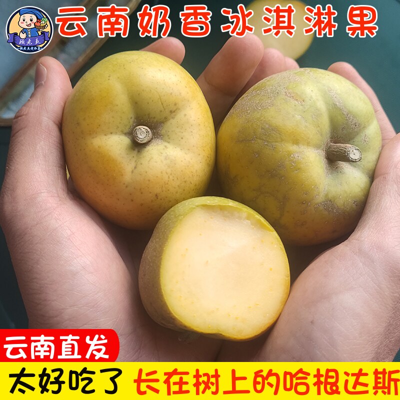 顺丰空运云南奶香白柿冰淇淋果新鲜版纳w4冰激凌果高端新奇水果5