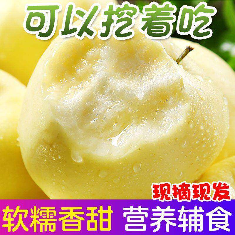 辽宁黄元帅黄金帅苹果宝宝刮泥粉面香甜元帅金冠苹果应季黄香蕉