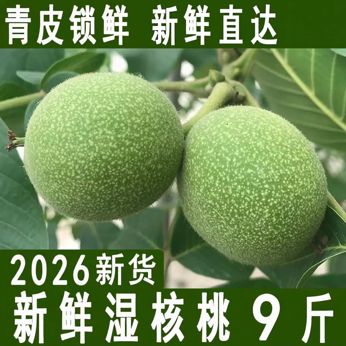 26新鲜核桃去青皮湿嫩生核桃现摘绿薄皮核桃仁孕妇专用黑桃整箱
