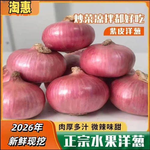 正宗山东二扁红生吃专用水果洋葱脆甜微辣可生吃洋葱3斤/5斤装