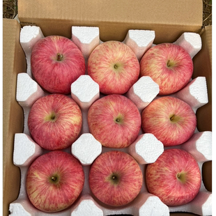 脆甜正宗水果苹果栖霞红富士产地山东烟台一级条纹果高端果