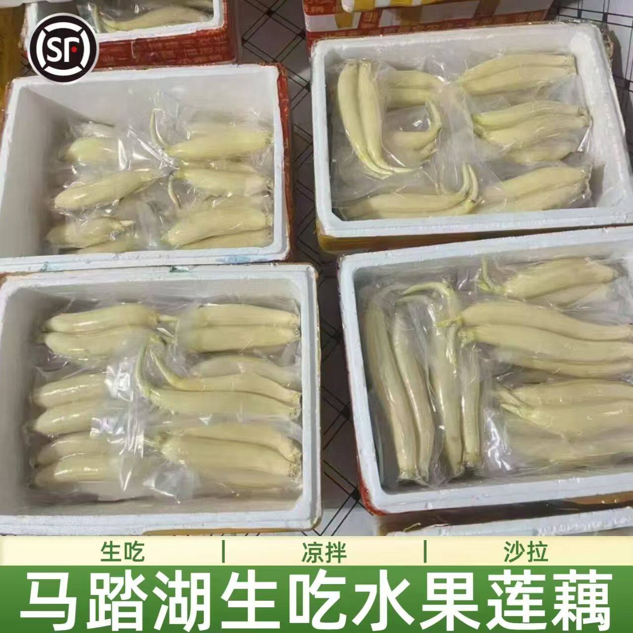 顺丰2026水果莲藕新鲜现挖水果藕嫩藕生吃清脆爽口凉拌产地马踏湖