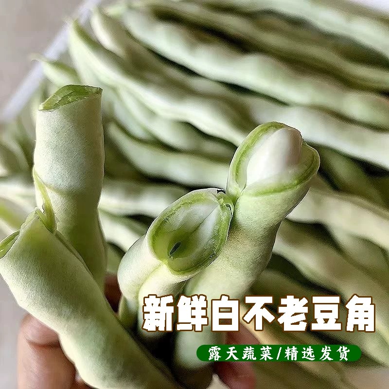 农家自种新鲜蔬菜白豆角芸豆四季豆老来少豆角白不老眉豆嫩白扁豆