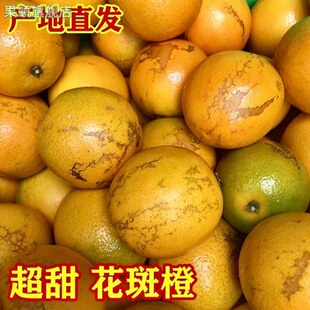 2025年水果脐橙花斑果现摘现发新鲜采摘包邮