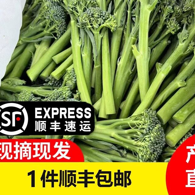 顺丰包邮甜杆西兰苔新鲜花菜苔青花苔手指芦笋西兰苔农家