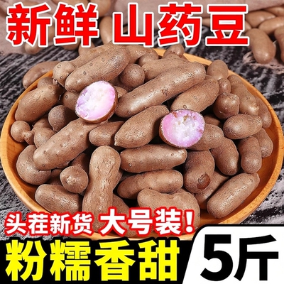 新鲜山药豆5斤正宗现摘山药蛋河南焦作温县怀淮山大号做糖葫芦豆
