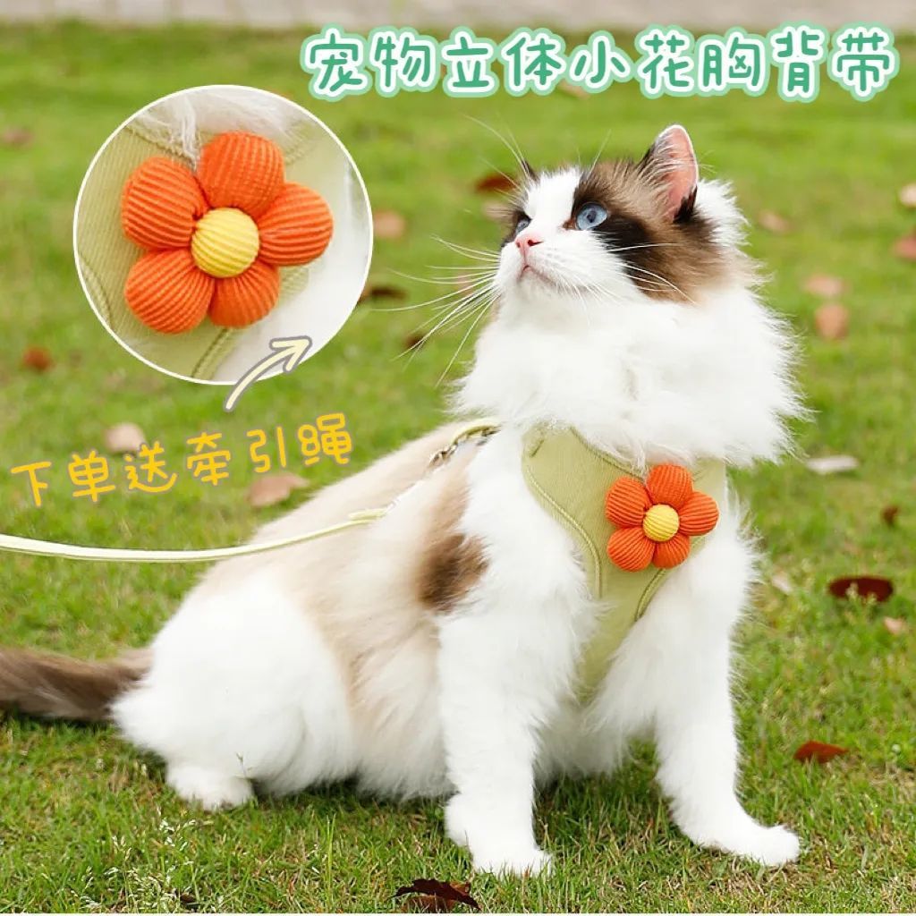 猫咪牵引绳防挣脱外出专用透气