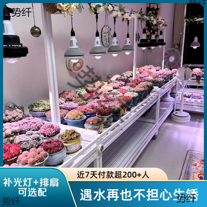 花架多层浇水落地阳台排风扇补光灯养多肉日式块根植物不锈钢花架图片