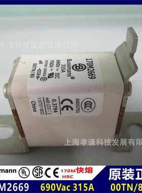 巴士曼BUSSMANN熔断器170M2669 690Vac 315A TN00/80保险丝aR