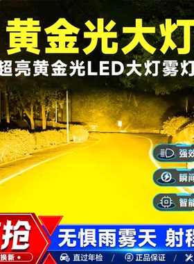 汽车超亮led大灯黄金光前雾灯改装H11 9006 H8货车防雾黄金眼白光