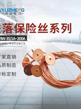 35KV户外跌落式熔断器专用保险丝RW-35/15A带扣高压熔丝