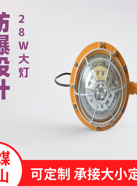 防爆照明灯 DGS24/127L矿用隔爆型LED巷道灯 24W本安型矿灯