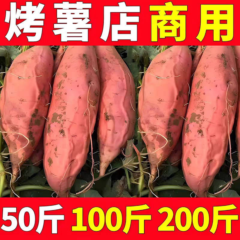 山东烟薯烤薯店地摊夜市商用批发