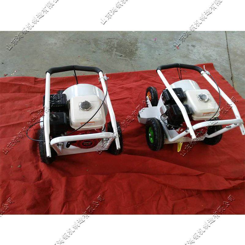 手推式马路吹风机 沥青路面广场落叶清理机 路面电动扫地车,农机/农具/农膜,打药机/弥雾机,淘宝优惠券,粉丝福利购,淘宝优惠卷