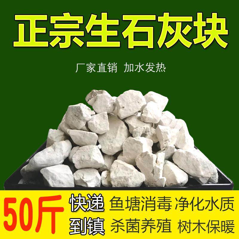 生石灰块粉鱼塘消毒杀菌