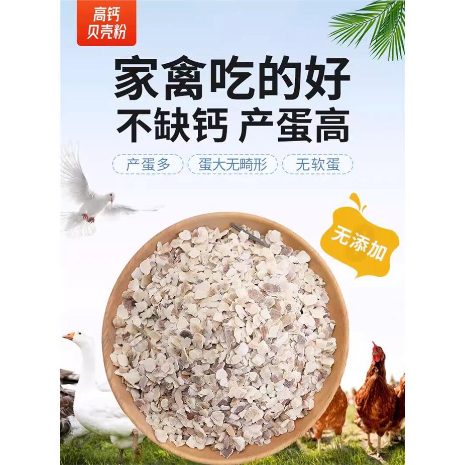高钙贝壳粉牡蛎粉鸡鸭鹅