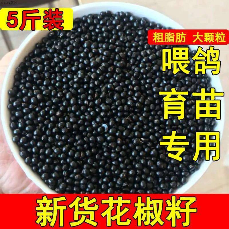 新货花椒籽鸽用鸽子饲料粮食信鸽鸽粮泡脚花椒种子育苗枕头砂