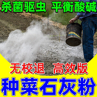 熟石灰粉农用种菜专用杀虫种菜地生石灰粉驱虫蛇土壤调减消毒杀菌