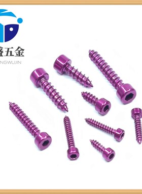 紫色304不锈钢圆柱头内六角自攻螺丝喇叭固定螺丝杯头尖尾木螺钉