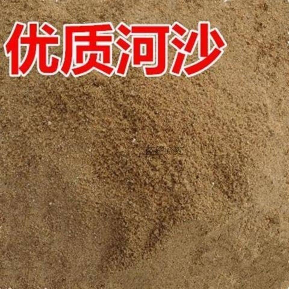 河沙细沙粗沙颗粒沙黄沙子鱼缸螃蟹乌龟冬眠多肉沙君子兰配土沙子