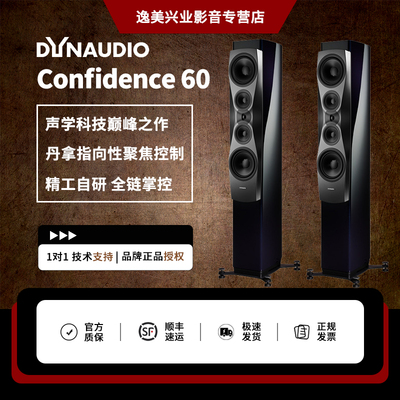 Dynaudio/丹拿信心Confidence 60无源HiFi丹拿发烧音箱大落地音箱