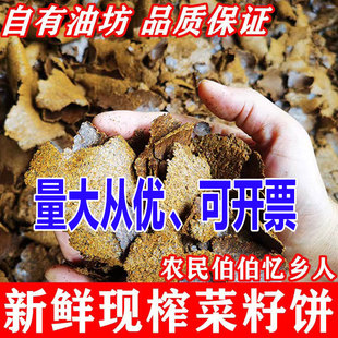 熟菜籽饼肥料黄饼油饼油菜饼营养土油枯饼油菜籽饼油渣农家有机肥
