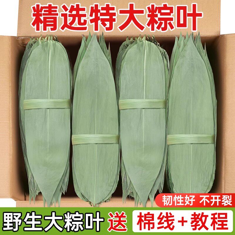 干粽叶特大号粽子叶免邮新鲜麻竹叶商家用箬叶包粽子材料送绳