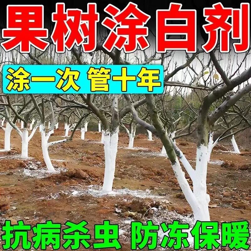 树木涂白剂树干刷白刷树粉果树树干防虫过冬杀菌消毒树木生石灰粉